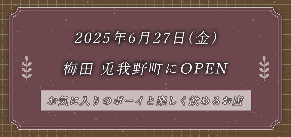 アリュークAlyukOPENバナー